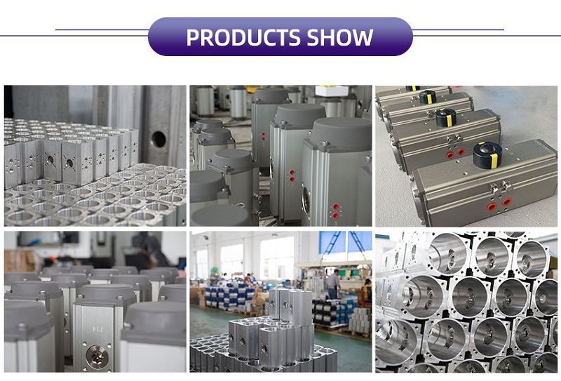 120 Degree Pneumatic Actuator 120 Degree Pneumatic Actuator
