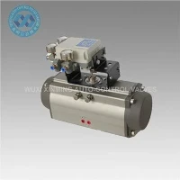 BIJ Pneumatische Actuator