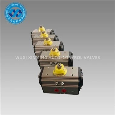 Pneumatische actuator met hoekverplaatsing
