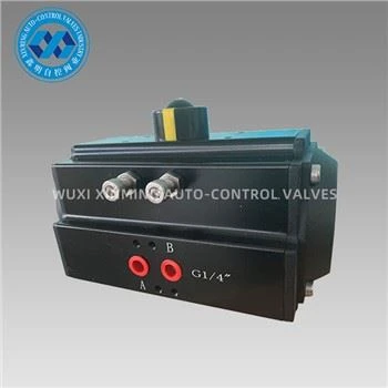 Volledig zwarte aluminium tandheugel pneumatische actuator