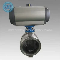 Segmentregelklep met pneumatische actuator