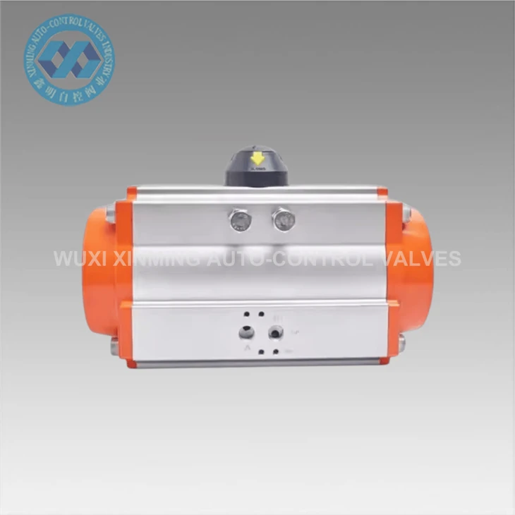 Pneumatic Linear Actuator