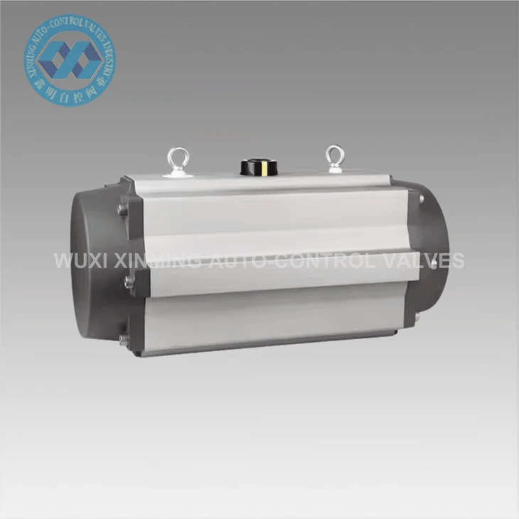 Pneumatische klepactuatoren voor waterzuiveringsinstallaties