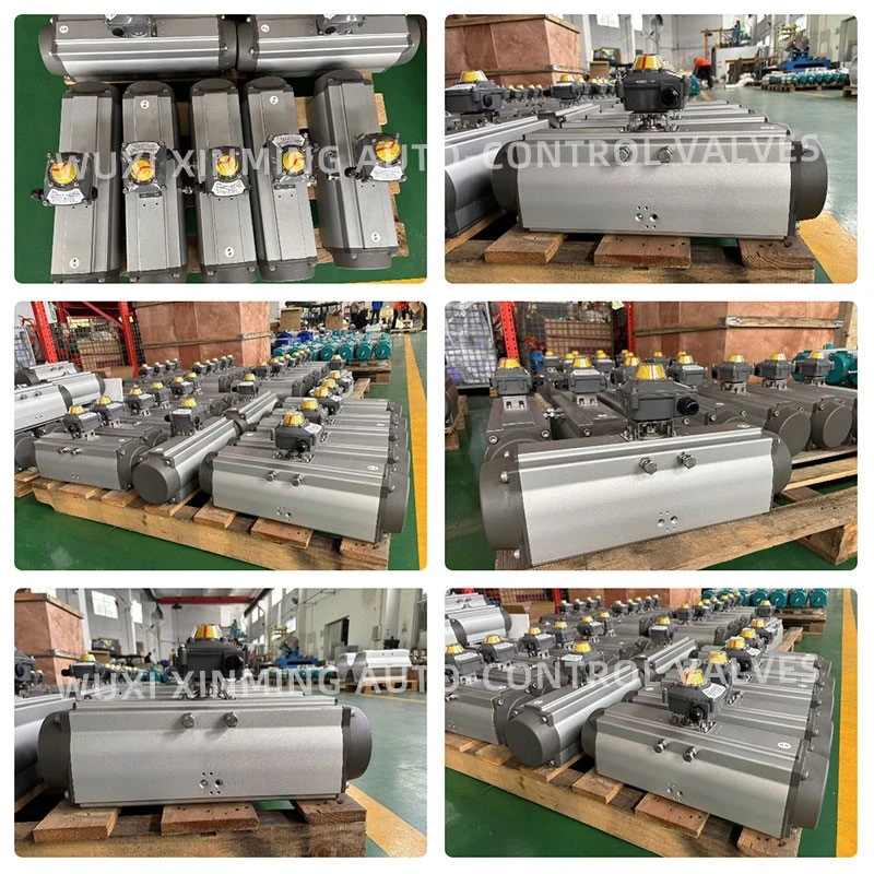 Rack and pinion pneumatic actuators 1 Rack and pinion pneumatic actuators 1