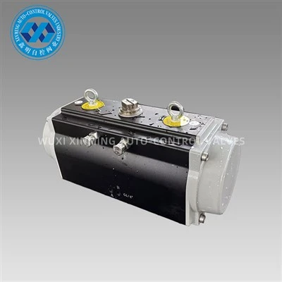 Geanodiseerde pneumatische actuator