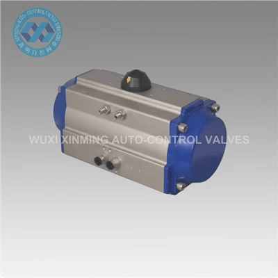 aangepaste pneumatische actuator met tandheugel te koop